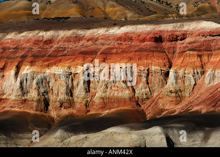 Foresta pietrificata "José Ormachea', Sarmiento, provincia di Chubut, Patagonia, Argentina, Sud America Foto Stock