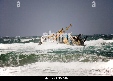 Messa a terra spiaggiata relitto di Banff nave da pesca barca BF 380 arenarsi sulle rocce al punto Cairnbulg Fraserburgh, a nord est della Scozia. Foto Stock