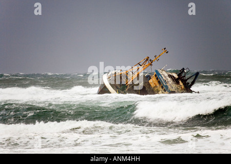 Messa a terra spiaggiata storm relitto di Banff nave da pesca barca BF 380 sovrano arenarsi sulle rocce al punto Cairnbulg Fraserburgh, a nord est della Scozia. Foto Stock