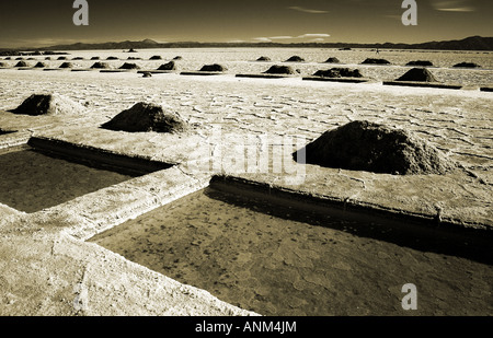 Salinas Grandes, nord-ovest Argentina Foto Stock