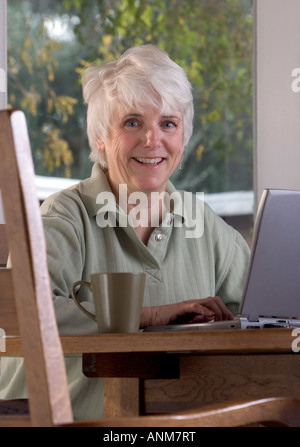 Senior donna funziona su un computer portatile a casa Foto Stock