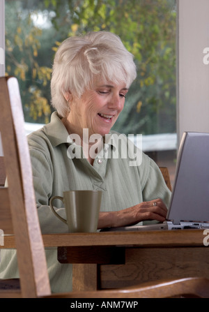 Senior donna funziona su un computer portatile a casa Foto Stock