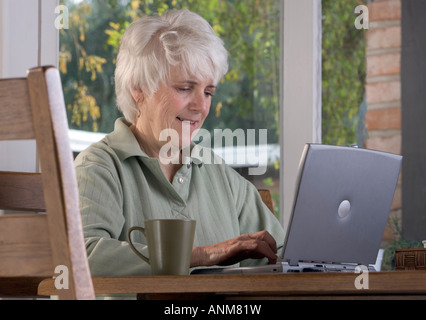 Senior donna funziona su un computer portatile a casa Foto Stock