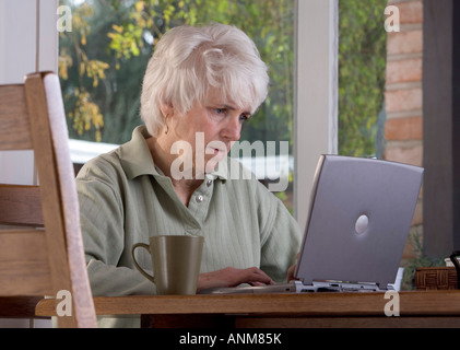 Senior donna funziona su un computer portatile a casa Foto Stock