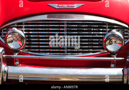 Vista frontale Austin-Healy auto sportive da vicino Foto Stock