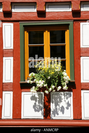 Finestra in un graticcio casa a Schiltach Foto Stock