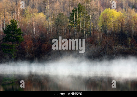 Alberi a molla e dawn nebbie riflessa nel fiume Vermiglio maggiore Sudbury Ontario Foto Stock