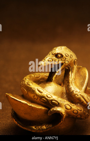 Zodiaco Cinese - Snake Foto Stock