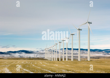 Le turbine eoliche in prossimità di Cowley Ridge, dei rulli di estrazione Creek, Alberta, Canada Foto Stock