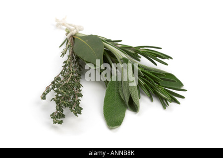 Garni bouquet di erbe aromatiche fresche Rosmarino Timo salvia e foglie di alloro Foto Stock