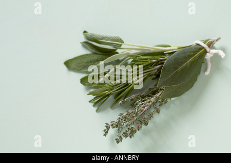 Garni bouquet di erbe aromatiche fresche Rosmarino Timo salvia e foglie di alloro Foto Stock