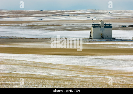 Gli ascensori (vecchio stile) in presenza di neve prairie, Milo, Alberta, Canada Foto Stock