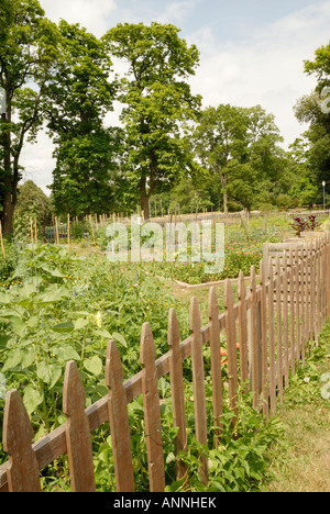 Il giardinaggio urbano in Columbus Ohio Foto Stock