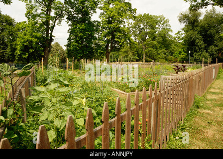 Il giardinaggio urbano in Columbus Ohio Foto Stock