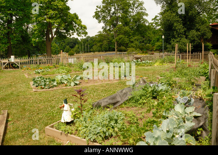 Il giardinaggio urbano in Columbus Ohio Foto Stock