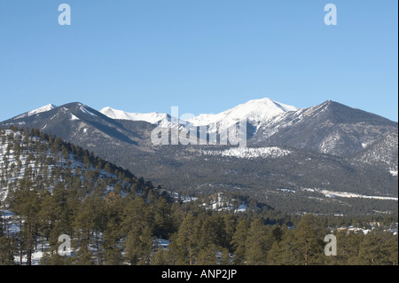Vista dal cratere del tramonto, Northern Arizona Foto Stock