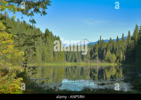 Il silenzioso Lago circondato da un bosco popolare in pescatori Foto Stock