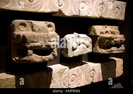 Scolpite teste di serpente sono artefatti da Teotihuacan in mostra al Museo Nazionale di Antropologia di Città del Messico MESSICO Foto Stock
