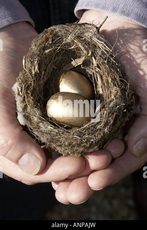 Risparmi due mani a tazza tenendo un piccolo nido di uccelli contenente due uova d'oro che rappresenta il tuo nido-uovo Foto Stock