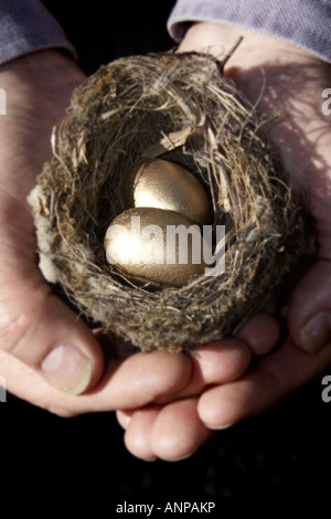 Risparmi due mani a tazza tenendo un piccolo nido di uccelli contenente due uova d'oro che rappresenta il tuo nido uovo Foto Stock