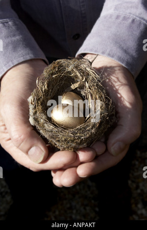 Risparmio uovo di nido contenenti uova d'oro che rappresentano i vostri risparmi pensione benessere futuro Foto Stock