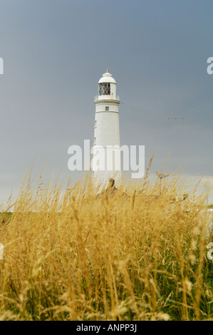 Il faro di Nash Punto vicino Marcross sul Glamorgan Heritage costa del Galles del Sud che si affaccia sul Canale di Bristol. Foto Stock