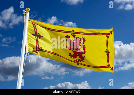 SCOTTISH bandiera nazionale Foto Stock