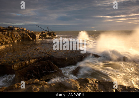 Mare mosso a schiantarsi sulla riva a Portland Bill Dorset Regno Unito Foto Stock