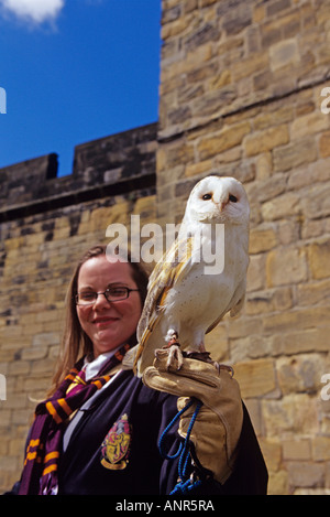 Tour femminile guida vestita come Harry Potter a Alnwick Castle in Northumberland detiene un barbagianni sulla sua mano Foto Stock