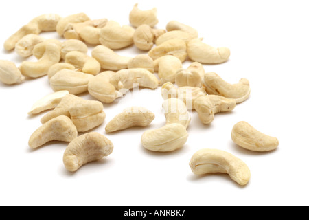 Noci di acagiù su sfondo bianco Foto Stock