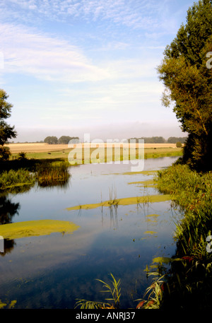 Great Ouse river nel paese oakley lato esterno Bedford Regno Unito Inghilterra Foto Stock