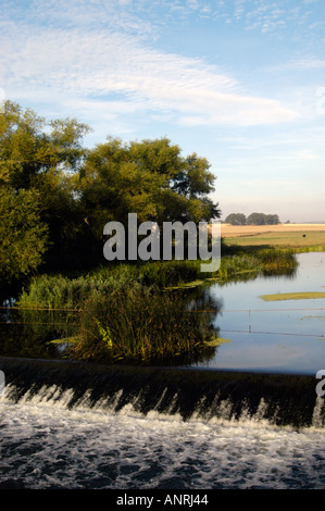 Great Ouse river weir nel paese oakley lato esterno Bedford Regno Unito Inghilterra Foto Stock