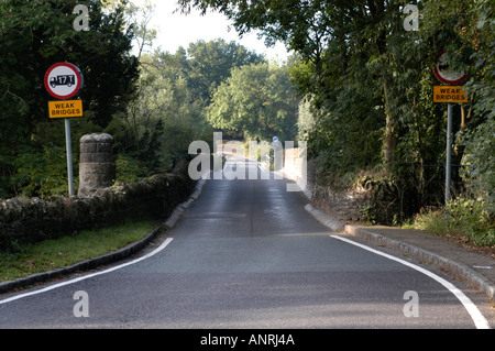 Debole stretto ponte sul fiume Ouse, nel Bedfordshire Foto Stock