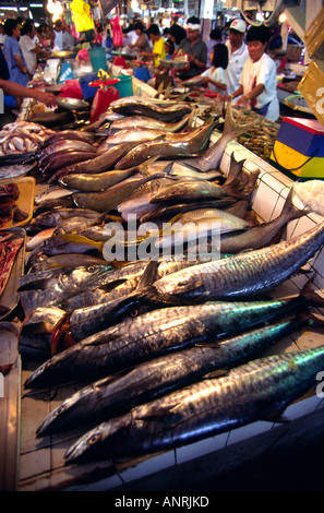 Filippine Palawan Puerto Princesa centrale mercato del pesce Foto Stock