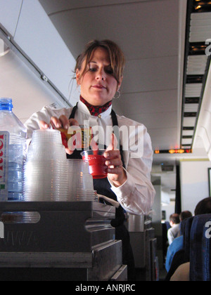 Assistente di Volo Foto Stock
