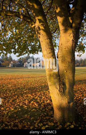 Parata a terra e ufficiali fila in autunno Fort Worden stato Parco Port Townsend Washington STATI UNITI D'AMERICA Foto Stock