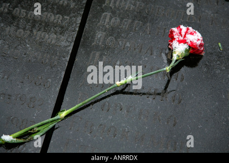 Rosa rossa posta sulla guerra in Afghanistan Memorial, Shevchenko Park, Odessa, Ucraina. Foto Stock