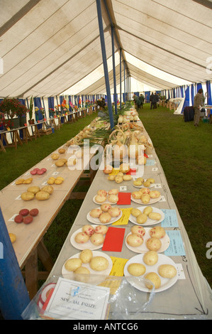 L annuale Muker agricoltura mostra Swaledale Yorkshire Dales Inghilterra tiene ogni settembre la produzione di tenda Foto Stock