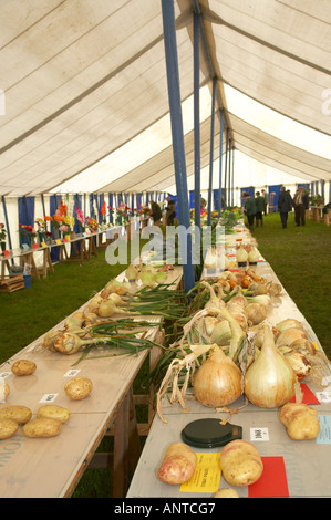 L annuale Muker agricoltura mostra Swaledale Yorkshire Dales Inghilterra tiene ogni settembre la produzione di tenda Foto Stock