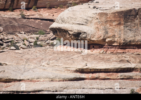 Horsecollar rovina a Natural Bridges National Monument in Utah, Stati Uniti d'America Foto Stock