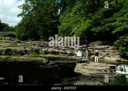 Forza Stainforth North Yorkshire in estate Foto Stock