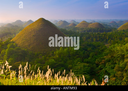 Sunrise sopra le colline di cioccolato di Bohol Filippine Foto Stock