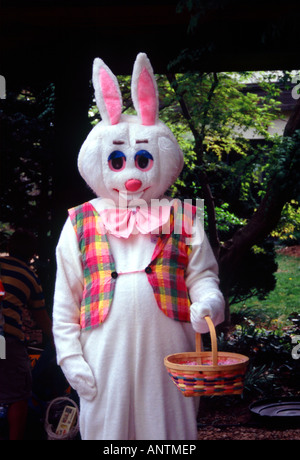 Coniglietto di pasqua PRIMAVERA MATTUTINA Fairfax Virginia STATI UNITI D'AMERICA Foto Stock