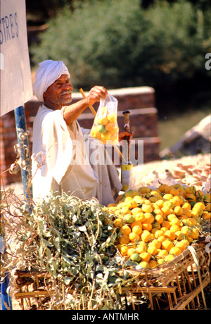 Uomo egiziano vendita arance Foto Stock