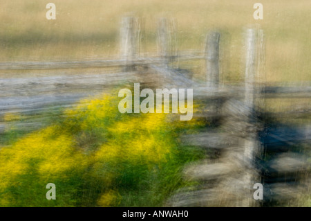 Paesaggio rurale impressioni cedar split cancellata e oro esposizione multipla, Manitoulin Island, Ontario Foto Stock