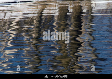 Tree riflessioni in acque aperte di giunzione Creek Sudbury Ontario Foto Stock