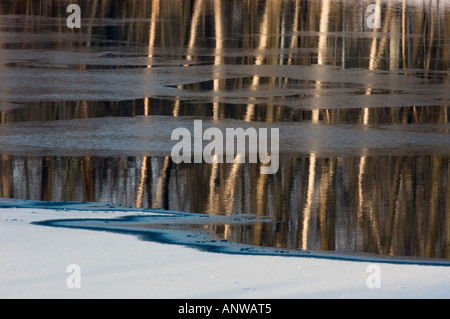 Tree riflessioni in acque aperte di giunzione Creek, maggiore Sudbury Ontario Foto Stock