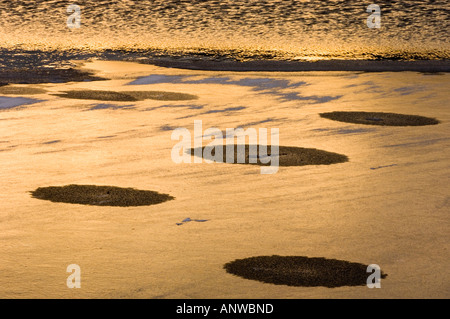 Modelli di ghiaccio a bordo del Vermiglio laghi vicino al tramonto, il Parco Nazionale di Banff, Alberta, Canada Foto Stock