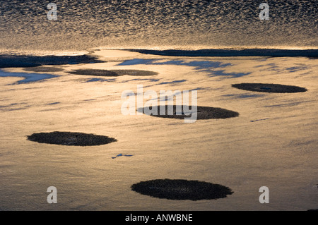 Modelli di ghiaccio a bordo del Vermiglio laghi vicino al tramonto, il Parco Nazionale di Banff, Alberta, Canada Foto Stock