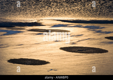 Modelli di ghiaccio a bordo del Vermiglio laghi vicino al tramonto, il Parco Nazionale di Banff, Alberta, Canada Foto Stock